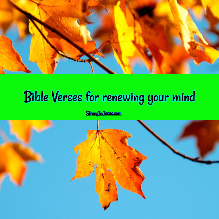scriptures for renewing the mind
